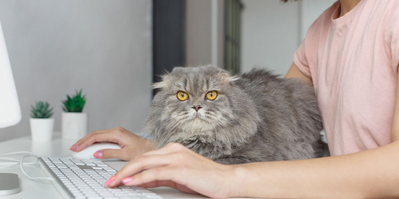 「ノルマがキツい」「残業が多い」「パワハラがひどい」ヤバい職場を抜け出せ！ブラック企業から退職する方法を準備から実行まで解説