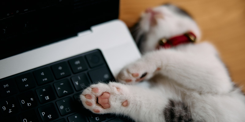 ブログで広告収入を得るコツ＆平日のスキマ時間でもできるブログの運営方法を解説