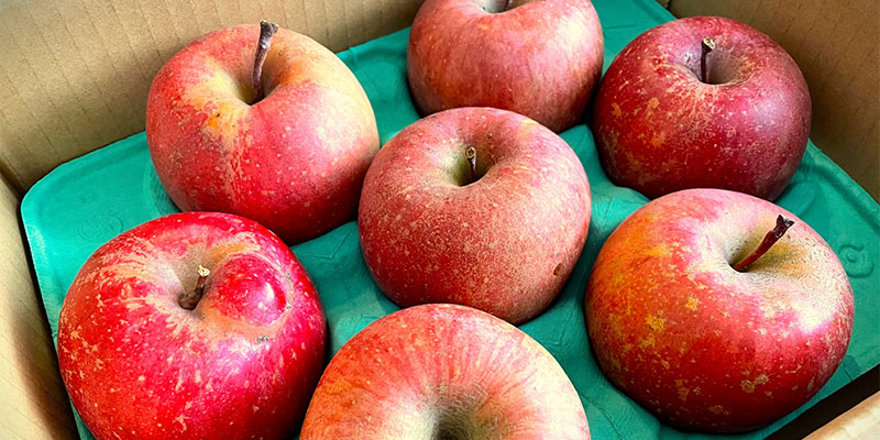 【早期退職】ポイ活から固定費の見直しまで〜早期リタイア後の賢い生活コスト設計術を教えます！